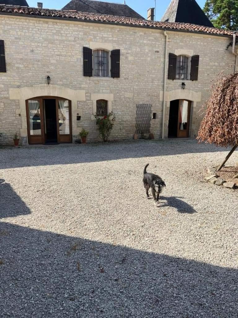 黑天鹅住宿加早餐旅馆 Aujac  外观 照片